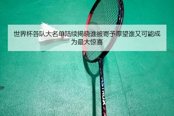 世界杯各队大名单陆续揭晓谁被寄予厚望谁又可能成为最大惊喜